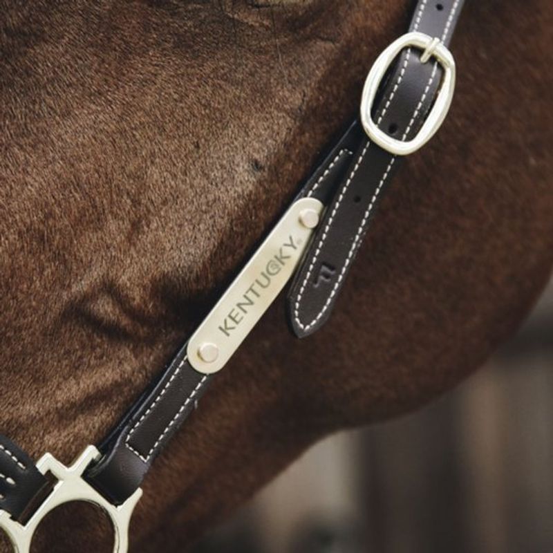 Kentucky Name Plate