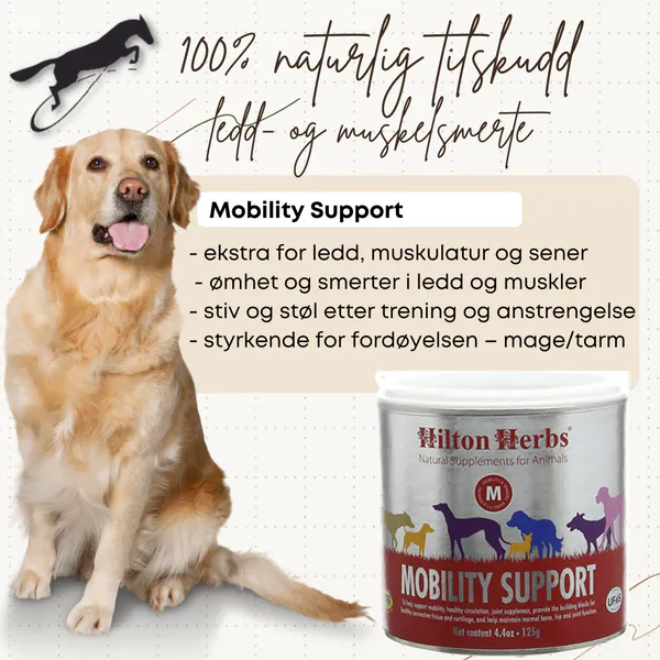 Hovedbilde Mobility Support Hilton Herbs