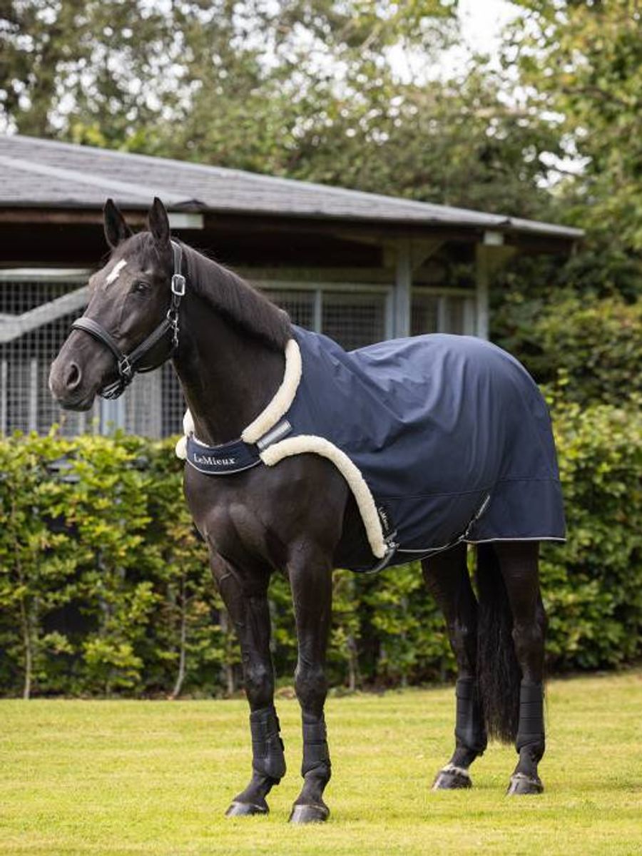 LEMIEUX Walker Rug Navy