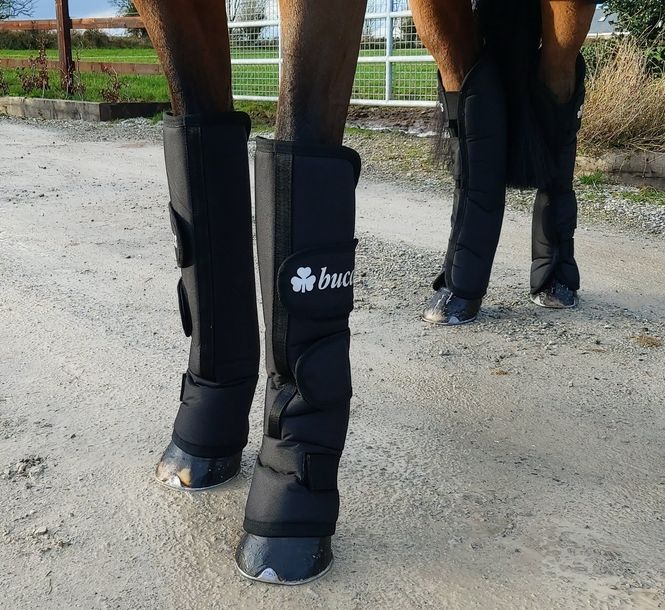 Hovedbilde Bucas Transportbelegg