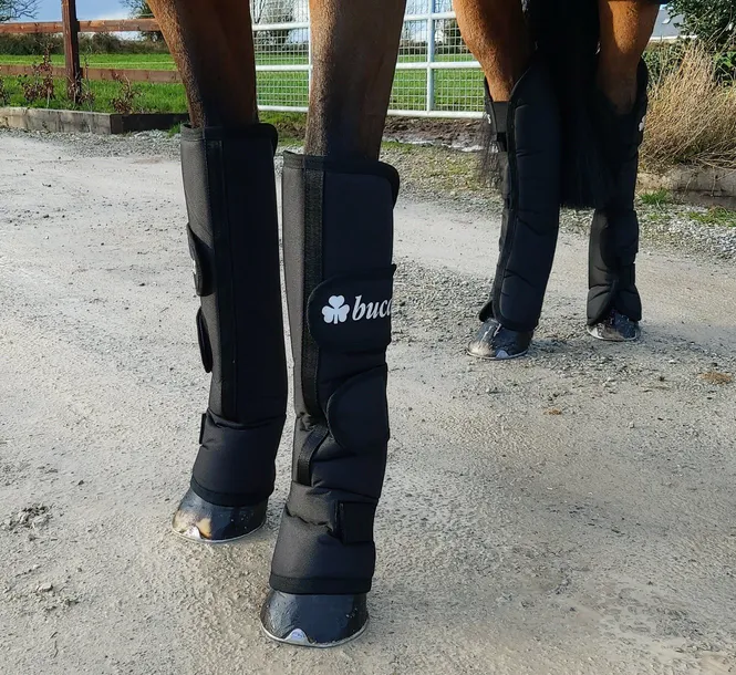 Hovedbilde Bucas Transportbelegg