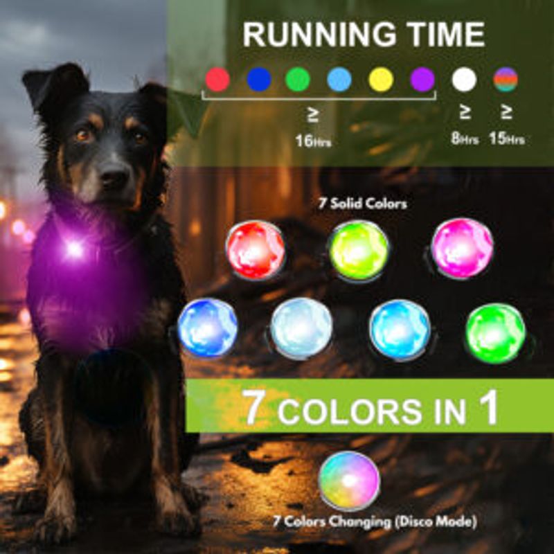 LED lys til hund, ryggsekk, barnevogn etc. Oppladbar multifeste
