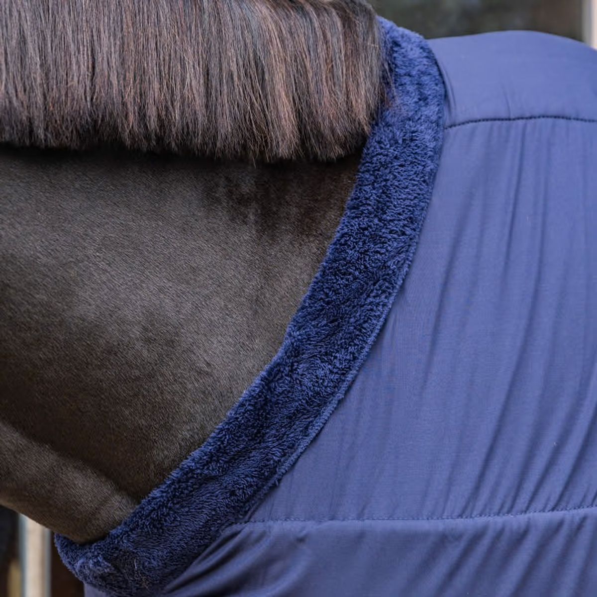 Kentucky Bogbeskytter (Chest protection)